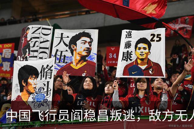 中国飞行员阎稳昌叛逃，敌方无人接应，最后撞山，结局悲惨，机毁人亡
